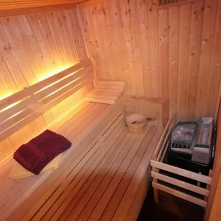 Vakantiehuis Premium In With Sauna *